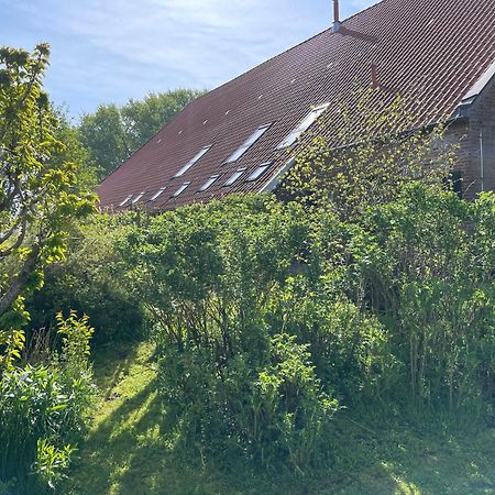 Ferienhof Spiegelhaus Krummhörn المظهر الخارجي الصورة
